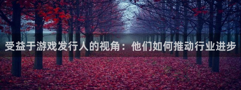 亿万28官网的钱能提出来吗：受益于游戏发行人的视角：他们如何推动行业进步