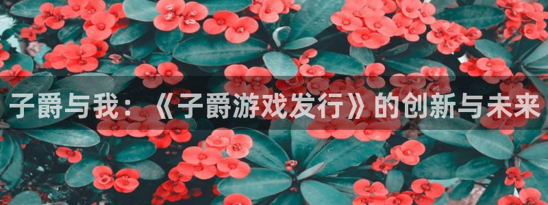 亿万28官网平台代理条件怎么样：子爵与我：《子爵游戏发行》的创新与未来