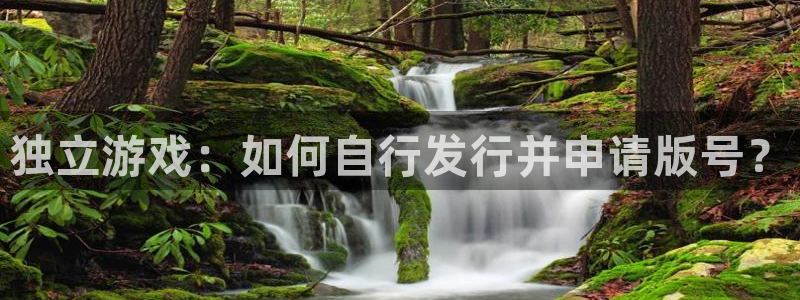 亿万28防水是几线品牌：独立游戏：如何自行发行并申请版号？