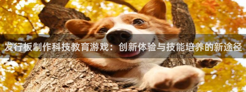 亿万28官网分红