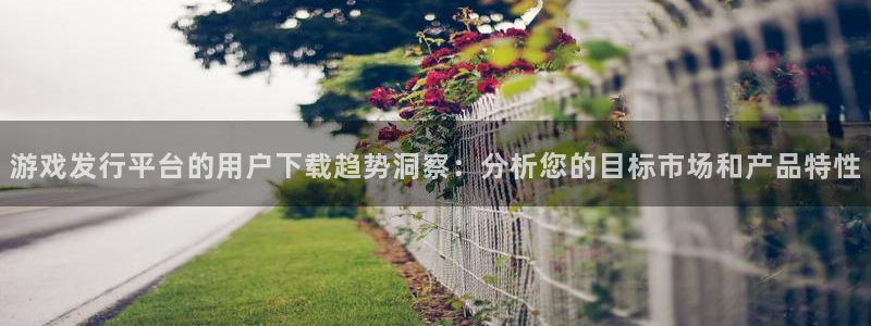 亿万28好还是红狮好